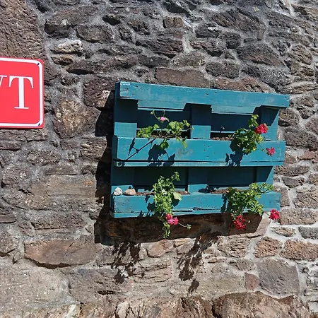 Marela *